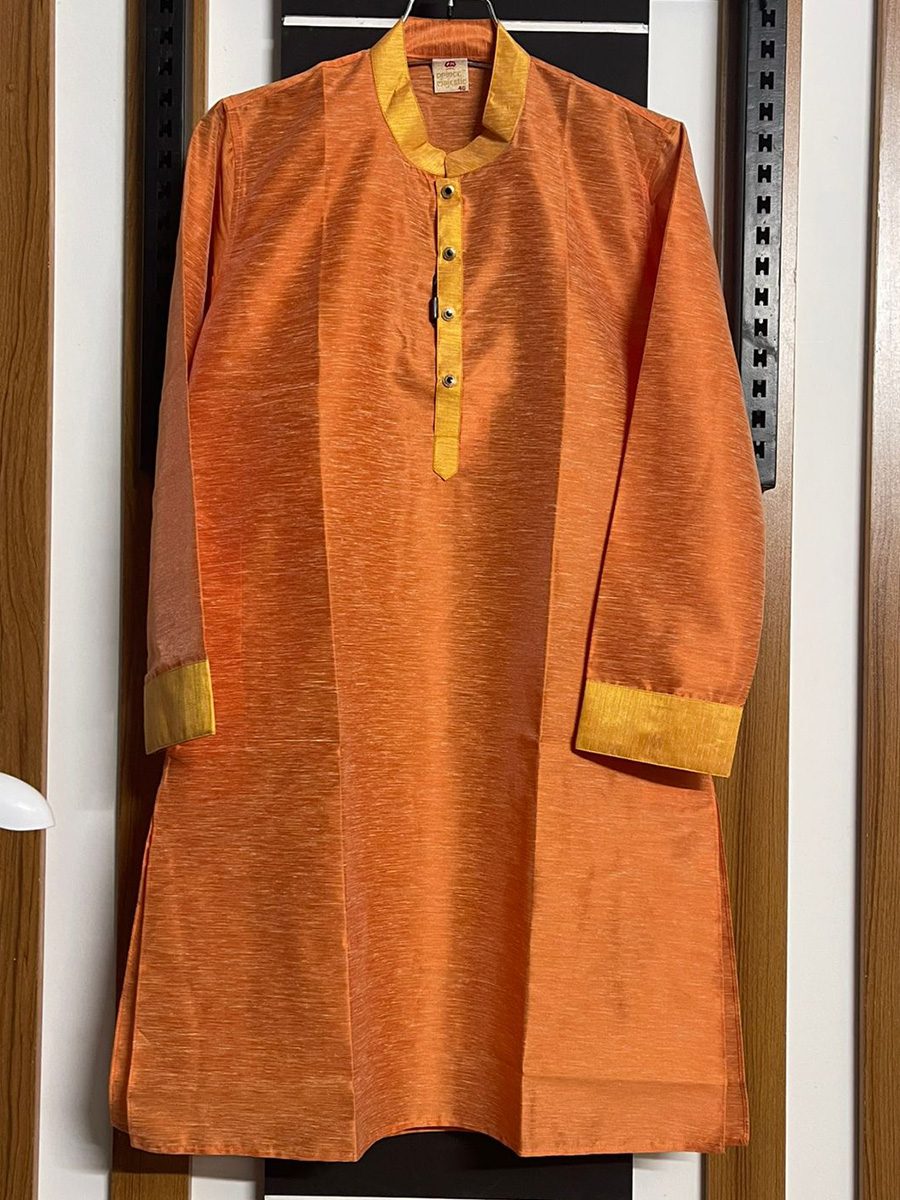 PRINCE MAJESTIC PANJABI